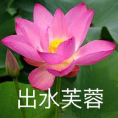 蜀山q传内购破解版下载