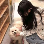 双人游戏对决手机版下载